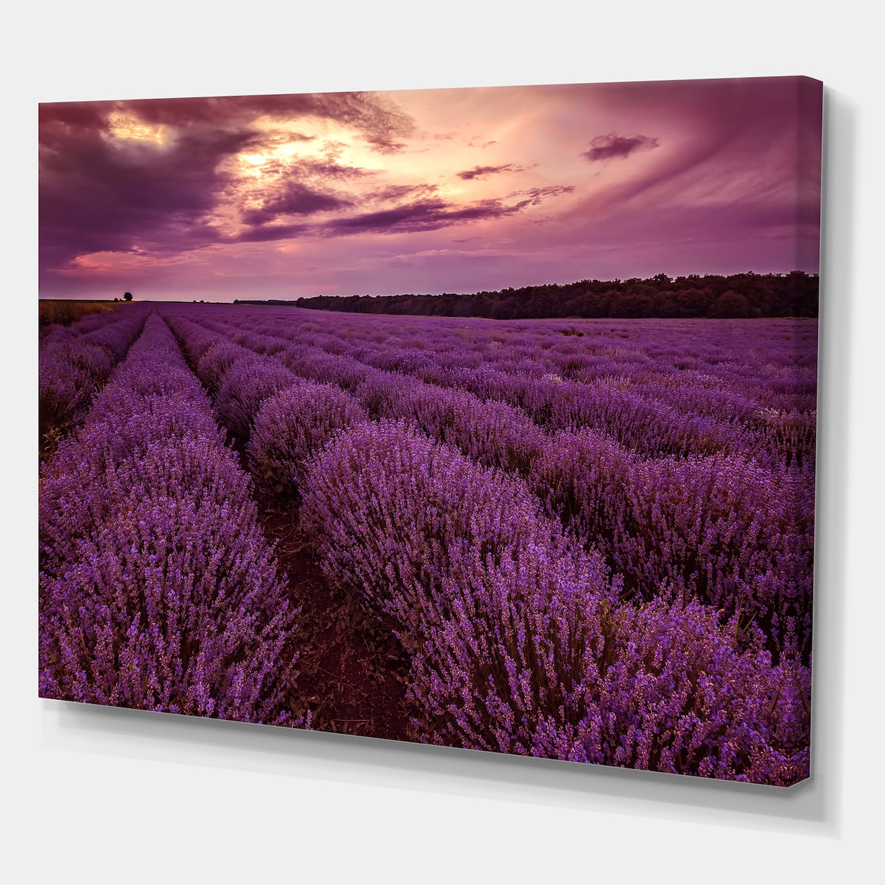 Designart - Sunrise & Dramatic Clouds Over Lavender Field III - Farmhouse Canvas Wall Art Print